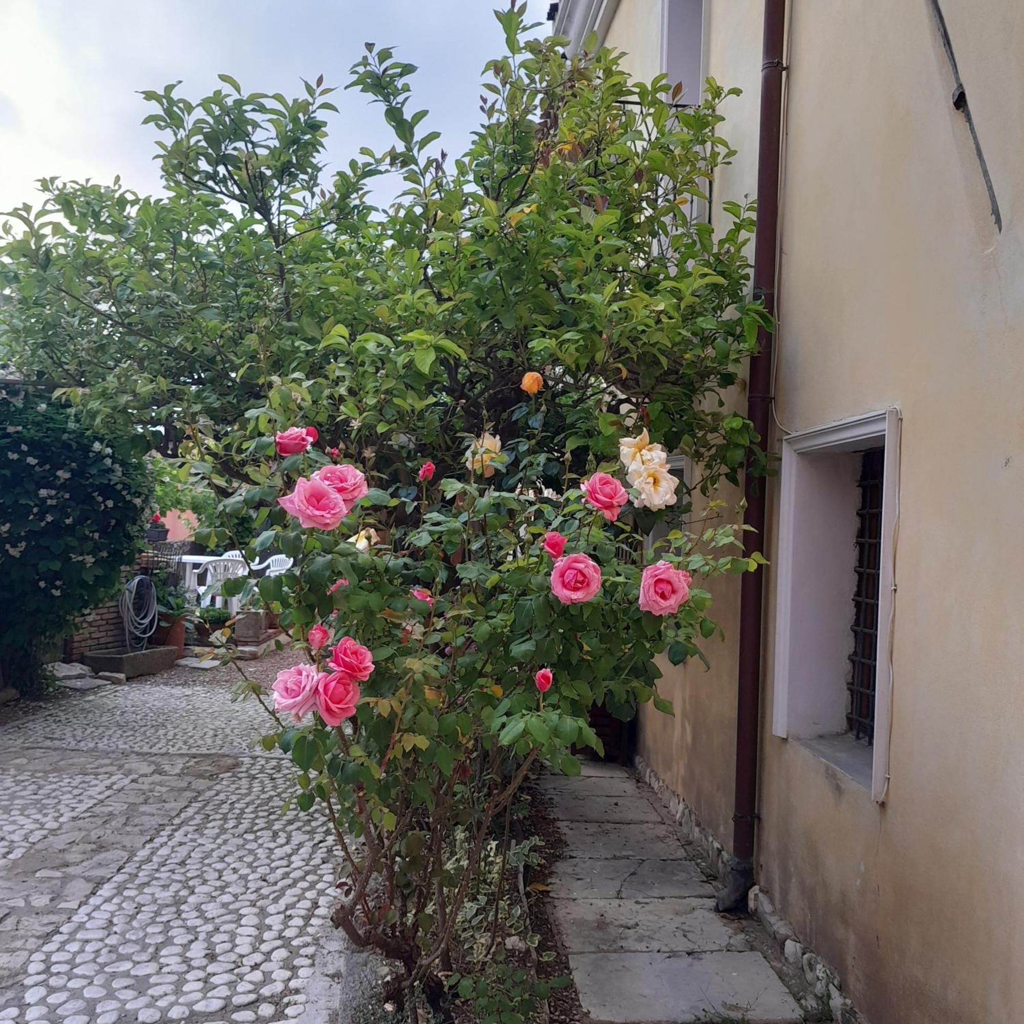 Casa Della Nonna Nel Borgo Villa Baunei Exterior photo